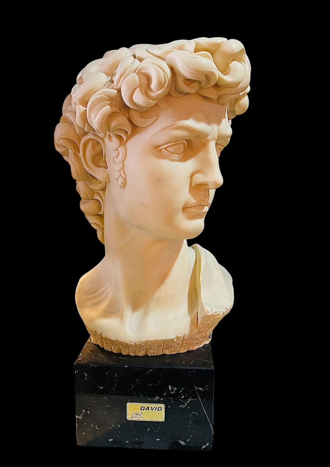 ESCULTURA DAVID DE MIGUEL ANGEL - Image 2